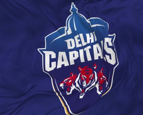 Delhi Capitals highest fan following ipl team