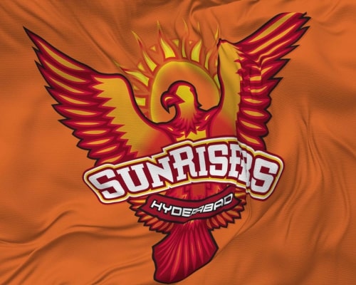 SRH highest fan following ipl team